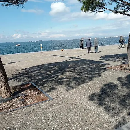 Apartament Bluespike